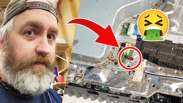 tecnico reparacion experto consola ps5 playstation 5 infestacion cucarachas