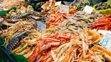 Great quantity of fresh seafood on fish market in Barcelona, Spain