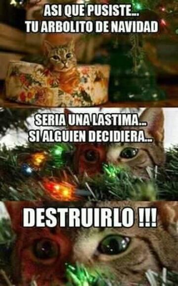 Los memes más divertidos sobre la Navidad y las cenas familiares