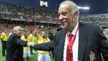Vicente del Bosque