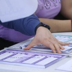 Elecciones Judiciales 2025: ¿Cuántas boletas electorales recibirán en Veracruz para votar este 1 de junio y qué se elige?