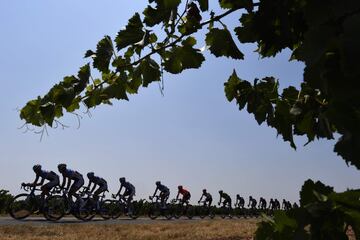 El pelotón  durante la 17ª etapa del Tour de Francia 2019. 