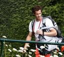 Murray: "Llego a Wimbledon lo mejor preparado que podía"