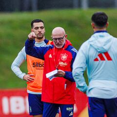 De la Fuente prueba con Porro y Zubimendi como novedades