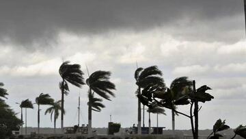 Alerta de Tormenta Blanca: para cuándo llegará y qué estados se verán afectados
