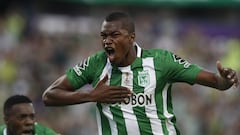 Nacional completa 32 puntos y está listo para los playoffs