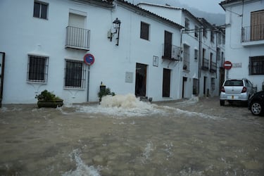 Estragos de la borrasca Leonardo a su paso por Grazalema, Cádiz.