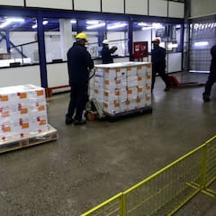 Vacuna Sinovac en Chile: quiénes serán los primeros en recibirla y cuándo lo harán