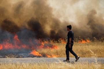 Los incendios se extienden por toda la península ibérica espoleados por la ola de calor. En Losacio (Zamora) ha perdido la vida un brigadista de los medios de extinción de la Junta de Castilla y León. Es el segundo incendio en menos de un mes en en la ciudad castellano leonesa.