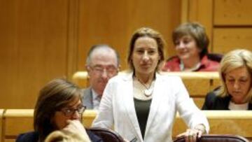 Marta Dom&iacute;nguez, en el Senado. 