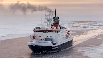 El histórico hallazgo en la Antártida con más de 40 millones de años de antigüedad