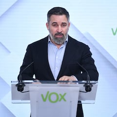 La Fiscalía Anticorrupción investiga a Vox por presunta financiación irregular