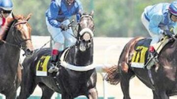 <b>PASO DE CARRETA. </b>Nadie quiso coger la punta y Palamoss (11) ganó el Derby de punta a punta.