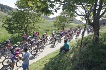 Las mejores imágenes de la 15ª etapa de La Vuelta
