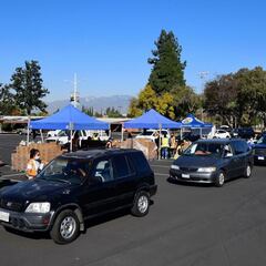 Unemployment benefits: how many jobs could be saved?