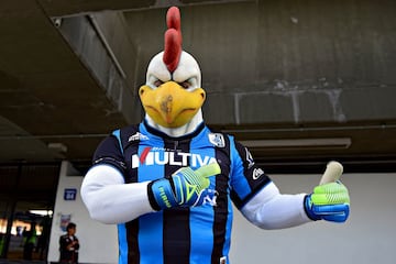 Gallardo es la mascota de los Gallos Blancos del Querétaro.