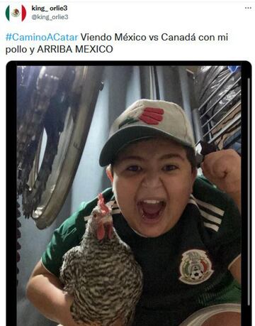 Hasta el pollo vio el partido