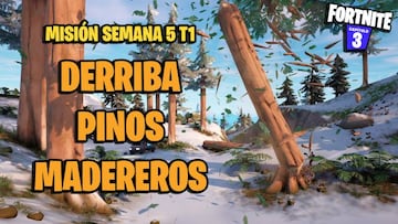 &iquest;D&oacute;nde hay pinos madereros en Fortnite? Ubicaciones y mapa