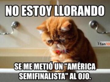 Los mejores memes creados por americanistas para Pumas