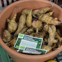 El superalimento mexicano que ayuda a perder peso