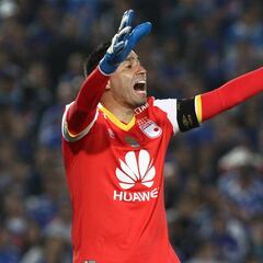 Leandro Castellanos no jugará más en 2017 por lesión