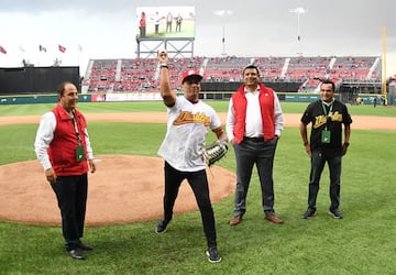 Diablos Rojos, Liga Mexicana de Béisbol 