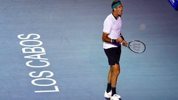 El tenista argentino Juan Martín del Potro celebra un punto ante el estadounidense Marcos Giron en el Abierto de Tenis Los Cabos, en Baja California Sur (México).