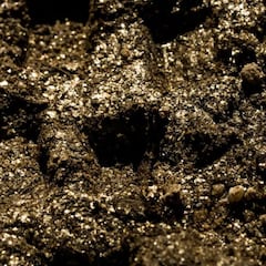 Graba un vídeo de Mountain Bike sobre "el oro de los tontos"