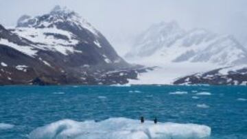 El glaciar Neumayer.