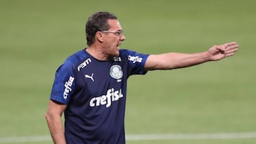 Vanderlei Luxemburgo fue despedido esta pasada noche por el Palmeiras. 