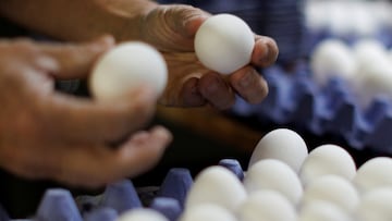 Why are eggs so expensive?