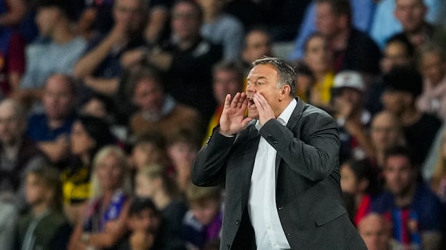 El Young Boys cambia de entrenador por la crisis de resultados