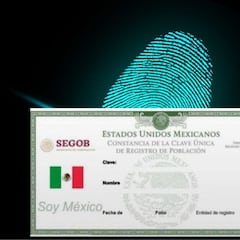 CURP Biométrica para niños 2026: ¿Cuáles son los requisitos y dónde tramitarla?