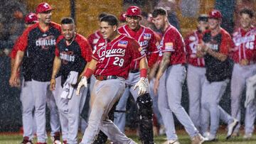 Los Criollos, bajo el manejo de Yadier Molina, lograron el campeonato local tras vencer a los Gigantes de Carolina.