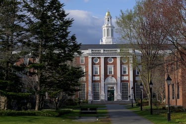 Otro golpe a los inmigrantes en Estados Unidos: Trump veta a los extranjeros en esta prestigiosa universidad