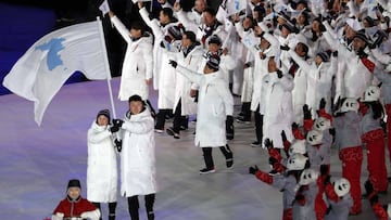 Los deportistas de Corea del Norte y Corea del Sur desfilan juntos durante la ceremonia de inauguraci&oacute;n de los Juegos Ol&iacute;mpicos de Invierno de Pyeongchang 2018.