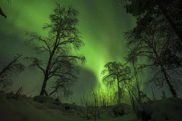 Las auroras son uno de los espectáculos más impresionantes de la Tierra. Se originan cuando partículas cargadas procedentes del Sol chocan con la magnetosfera terrestre. Estas colisiones excitan átomos y moléculas de la atmósfera, que emiten luz en tonalidades verdes, rosadas, violetas o azules. Aunque se observan principalmente en el Círculo Polar Ártico, su intensidad depende del ciclo solar, pudiendo llegar a latitudes más bajas durante tormentas geomagnéticas excepcionales. Para fotógrafos y viajeros, es uno de los fenómenos más deseados y difíciles de predecir.