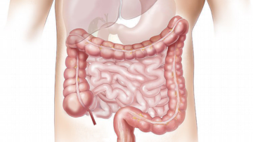 Ni corazón ni pulmones: este es el único órgano del cuerpo humano que nunca supera los tres años de edad