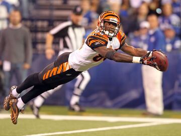 Exjugador profesional de fútbol americano en la NFL. 