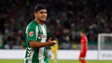 Gol de Juan Camilo el 'Cucho' Hernández en el 2-0 del Betis sobre Osasuna.