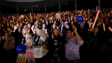El regreso más esperado por los chilenos en el Festival Viña del Mar 2025: “Para mí es muy especial”