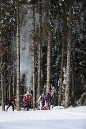 La nieve cae de un árbol sobre los competidores de la semifinal de velocidad