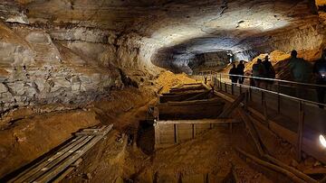 Both Troglocladodus trimblei and Glikmanius careforum, belonging to the extinct genus Ctenacanthus, were found.