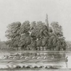 Oxford vs Cambridge, la Regata