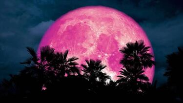 Cómo ver online por YouTube la Superluna Rosa 2020: apps para fotografiarla