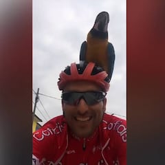 Maté es muy grande: homenaje a Scarponi corriendo con su loro