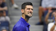 Djokovic makes Federal Court appeal against Australia visa cancellation