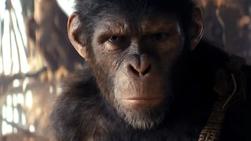 El reino del planeta de los simios