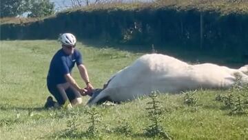 Ciclista ayudando a una vaca a parir en Escocia. 