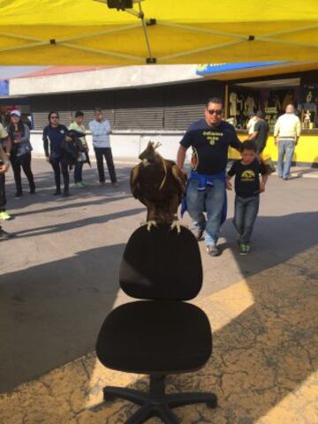 Posando con la mascota del América